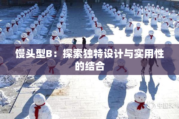 馒头型B：探索独特设计与实用性的结合