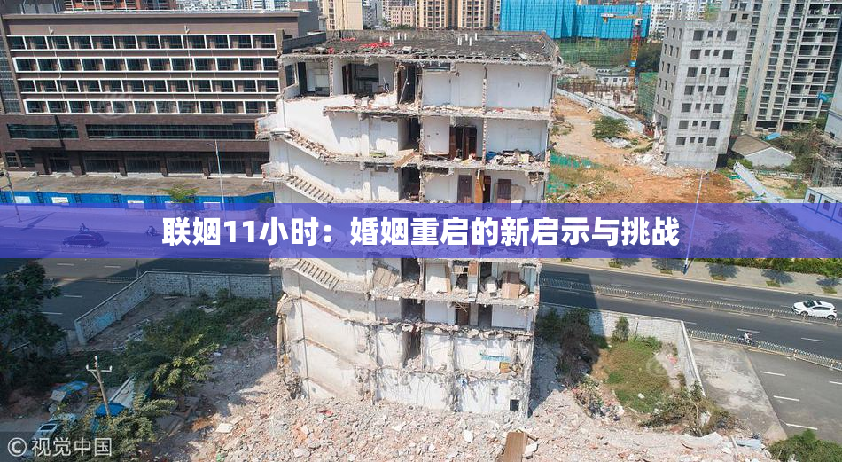 联姻11小时：婚姻重启的新启示与挑战