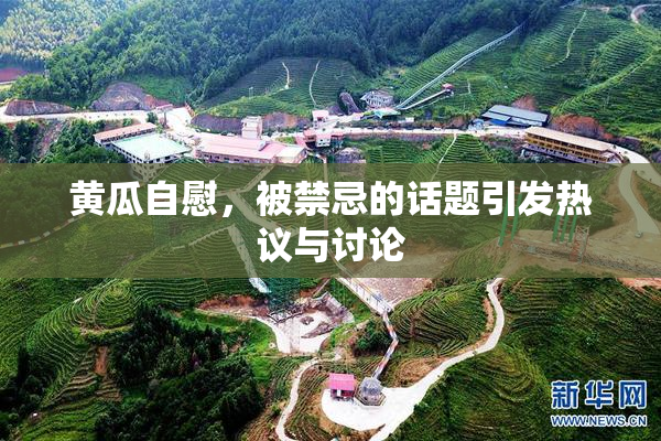 黄瓜自慰，被禁忌的话题引发热议与讨论