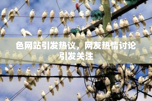 色网站引发热议，网友热情讨论引发关注