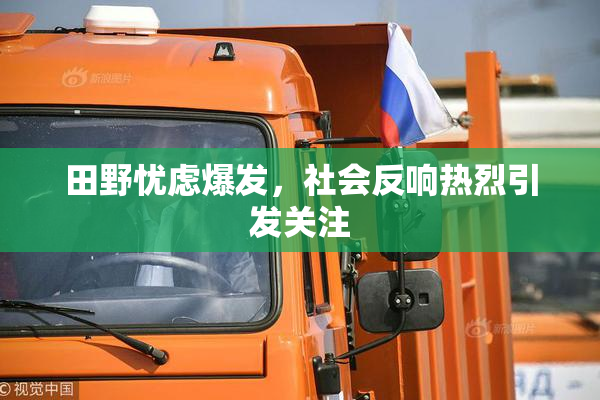 田野忧虑爆发，社会反响热烈引发关注