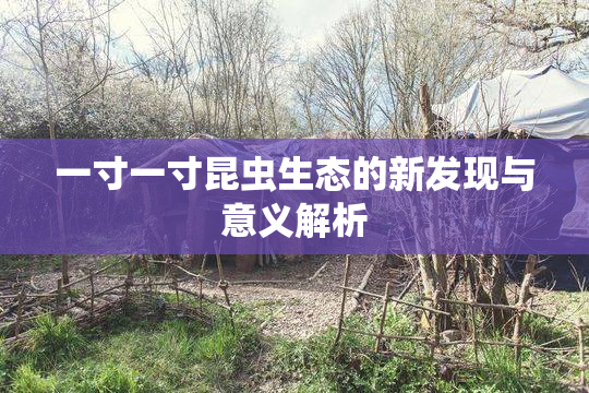 一寸一寸昆虫生态的新发现与意义解析