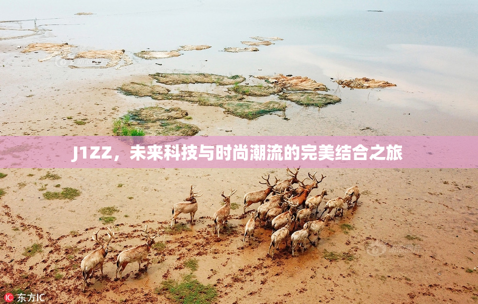 J1ZZ，未来科技与时尚潮流的完美结合之旅