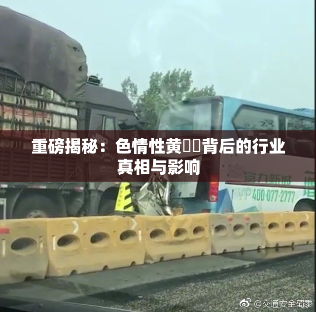 重磅揭秘：色情性黄❌‌背后的行业真相与影响