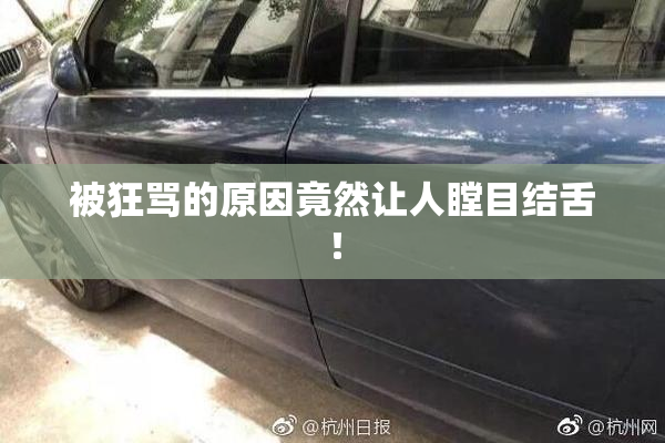 被狂骂的原因竟然让人瞠目结舌！
