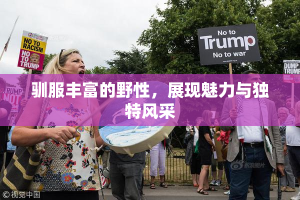 驯服丰富的野性，展现魅力与独特风采