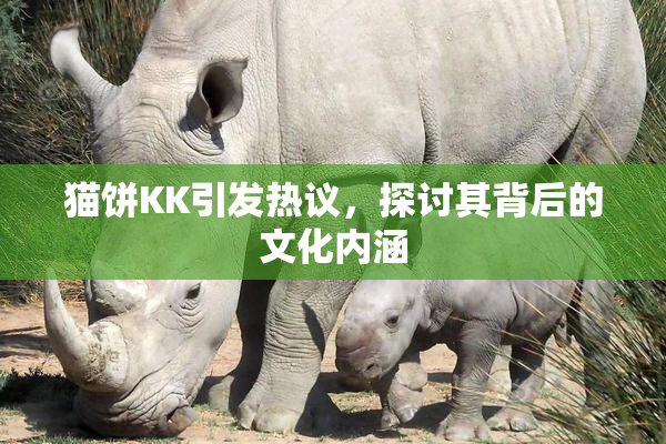猫饼KK引发热议，探讨其背后的文化内涵