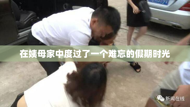在姨母家中度过了一个难忘的假期时光