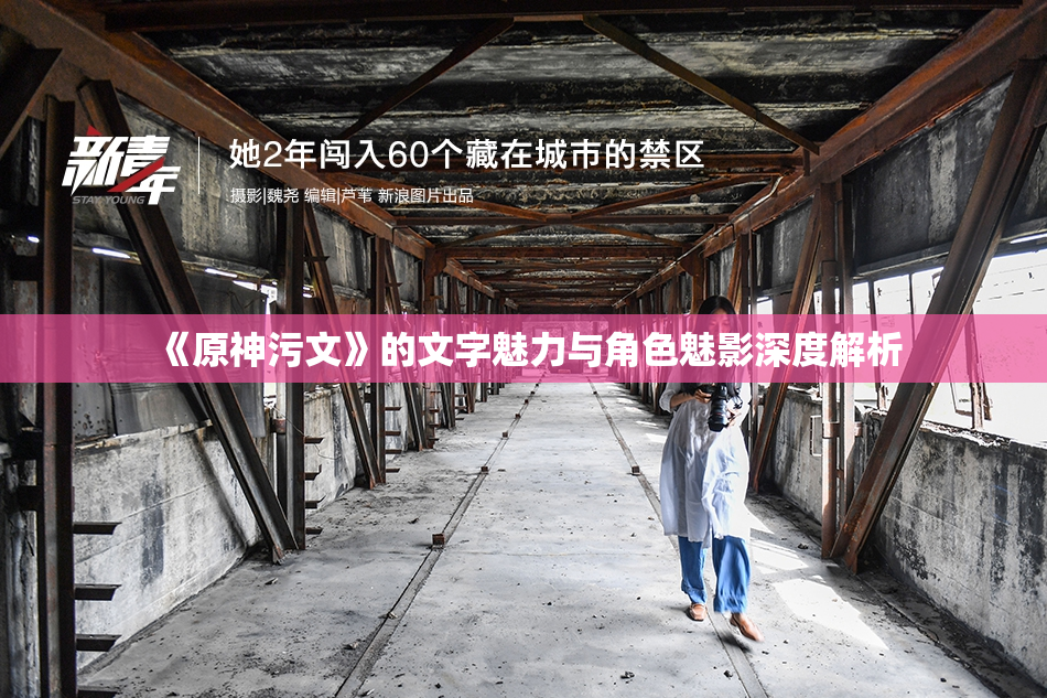 《原神污文》的文字魅力与角色魅影深度解析