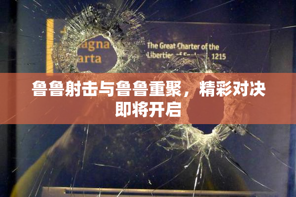 鲁鲁射击与鲁鲁重聚，精彩对决即将开启