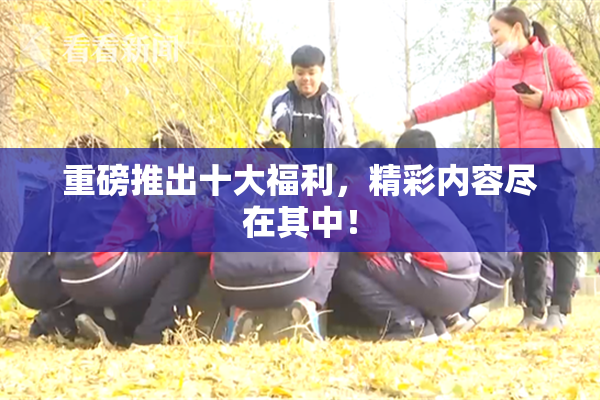重磅推出十大福利，精彩内容尽在其中！