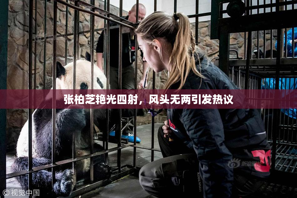 张柏芝艳光四射，风头无两引发热议