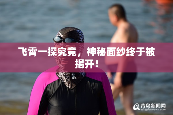 飞霄一探究竟，神秘面纱终于被揭开！
