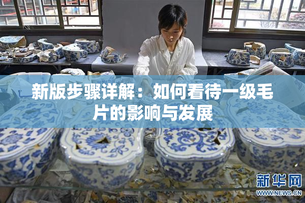 新版步骤详解：如何看待一级毛片的影响与发展