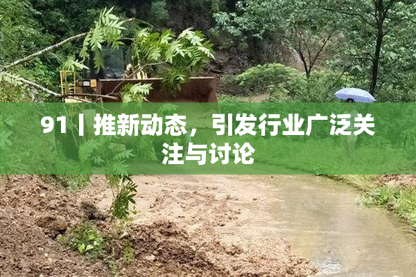 91丨推新动态，引发行业广泛关注与讨论