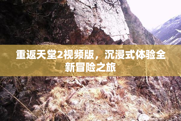 重返天堂2视频版，沉浸式体验全新冒险之旅