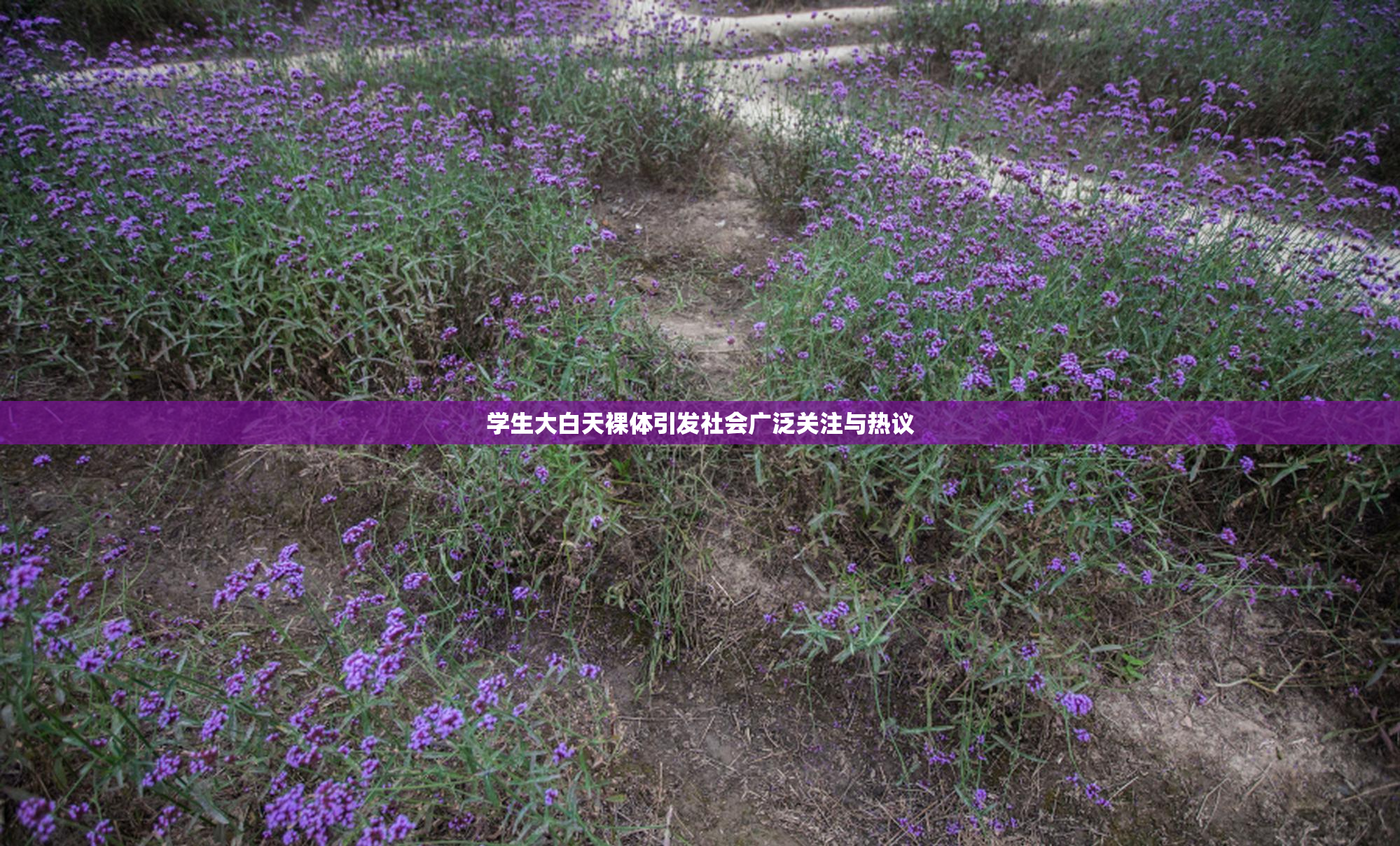 学生大白天裸体引发社会广泛关注与热议