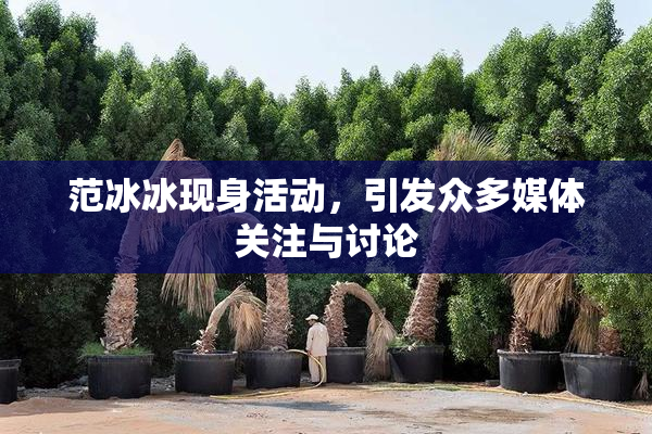 范冰冰现身活动，引发众多媒体关注与讨论