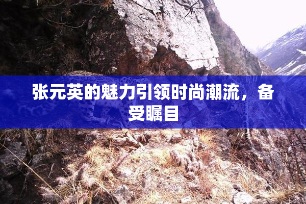 张元英的魅力引领时尚潮流，备受瞩目
