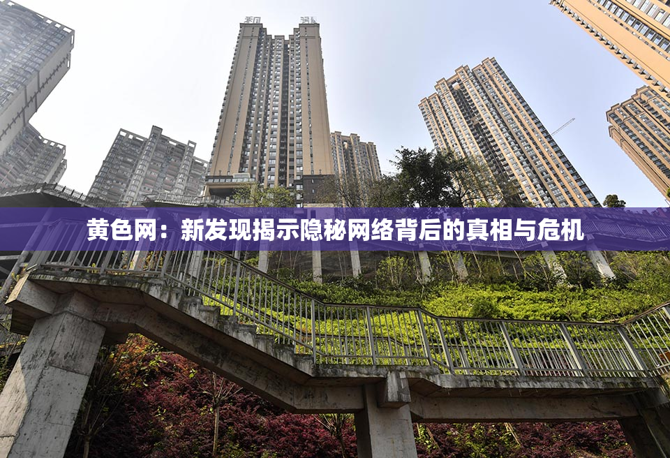 黄色网：新发现揭示隐秘网络背后的真相与危机