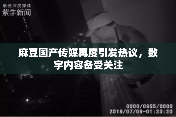 麻豆国产传媒再度引发热议，数字内容备受关注