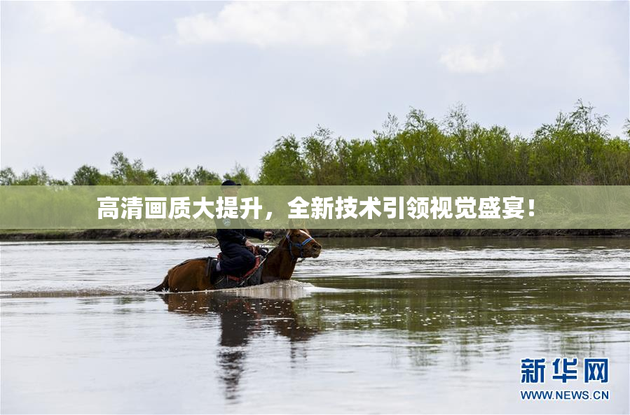 高清画质大提升，全新技术引领视觉盛宴！
