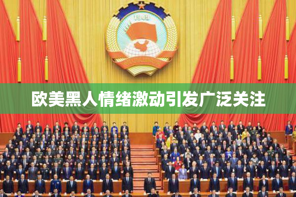 欧美黑人情绪激动引发广泛关注
