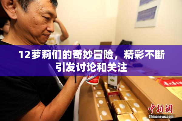 12萝莉们的奇妙冒险，精彩不断引发讨论和关注