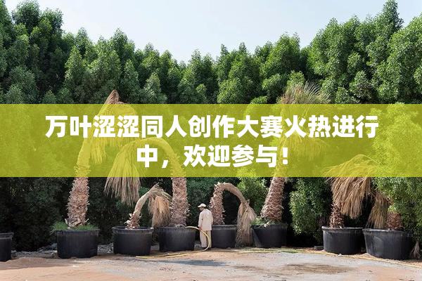 万叶涩涩同人创作大赛火热进行中，欢迎参与！