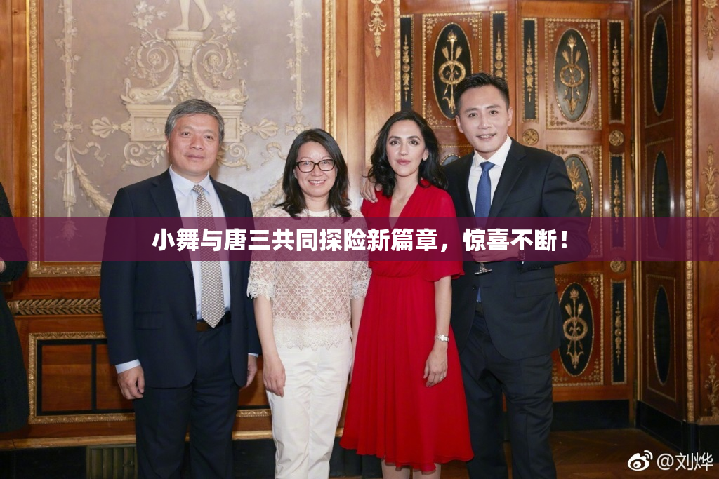 小舞与唐三共同探险新篇章，惊喜不断！