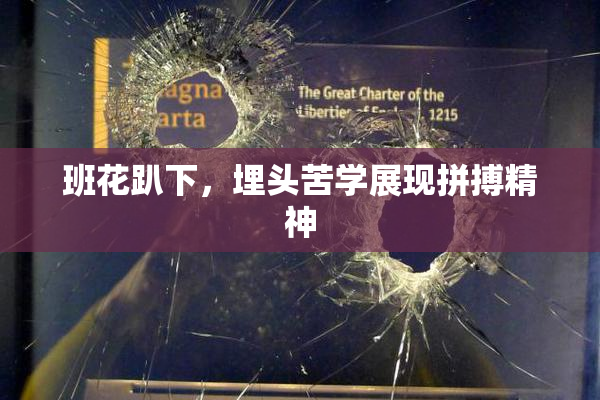 班花趴下，埋头苦学展现拼搏精神