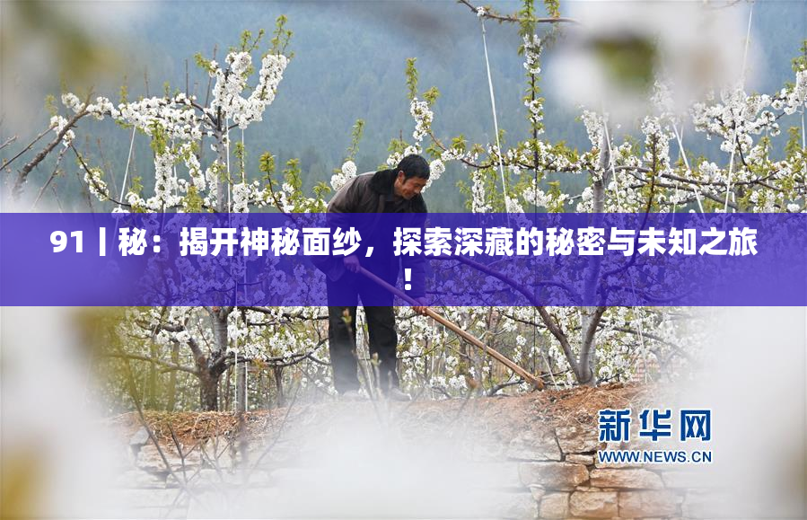 91丨秘：揭开神秘面纱，探索深藏的秘密与未知之旅！