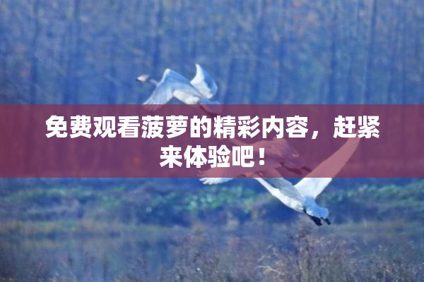 免费观看菠萝的精彩内容，赶紧来体验吧！