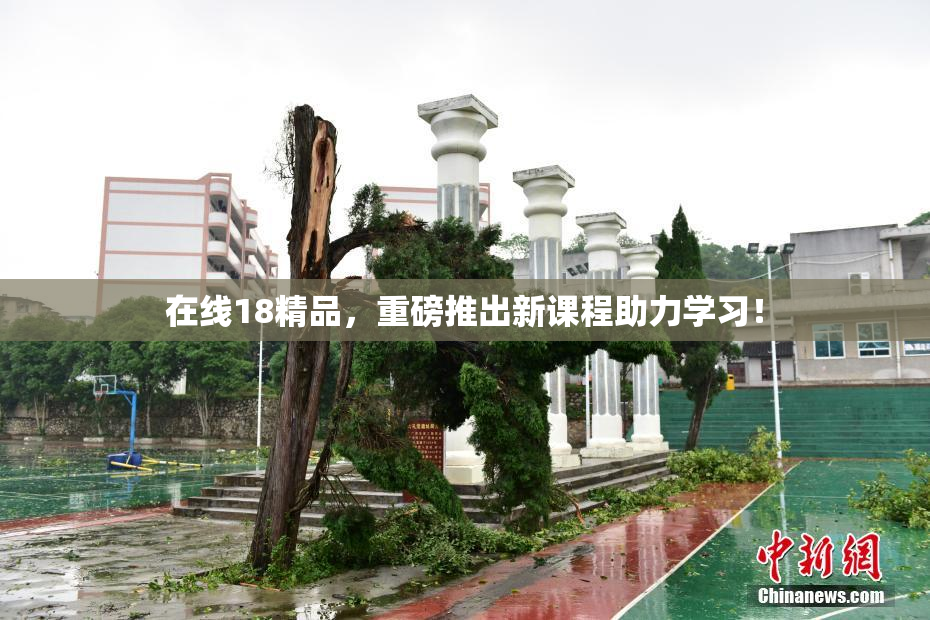 在线18精品，重磅推出新课程助力学习！