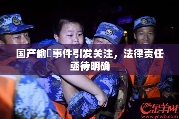 国产偷抇事件引发关注，法律责任亟待明确
