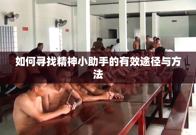 如何寻找精神小助手的有效途径与方法