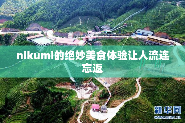 nikumi的绝妙美食体验让人流连忘返