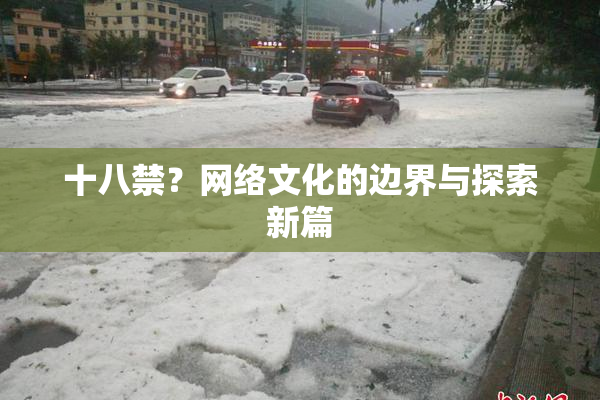 十八禁？网络文化的边界与探索新篇