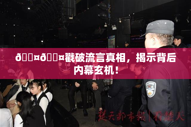 🐤🐤戳破流言真相，揭示背后内幕玄机！