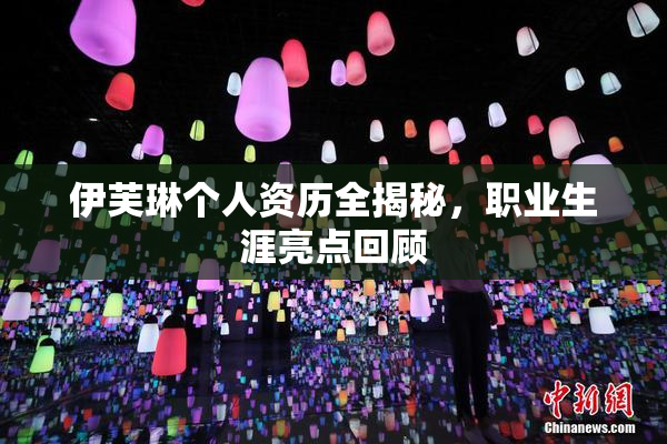 伊芙琳个人资历全揭秘，职业生涯亮点回顾