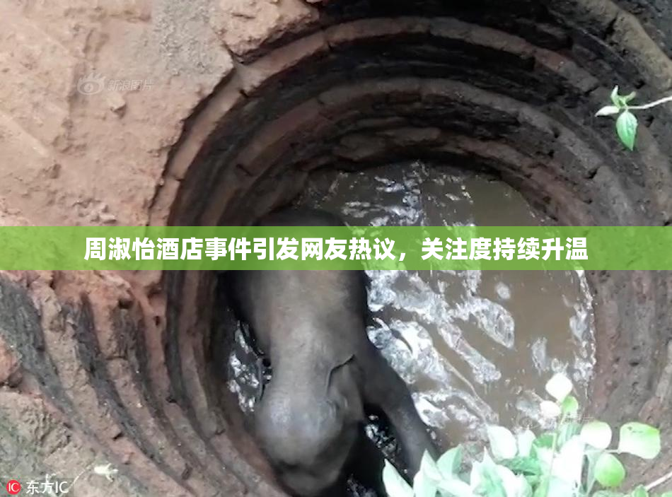 周淑怡酒店事件引发网友热议，关注度持续升温