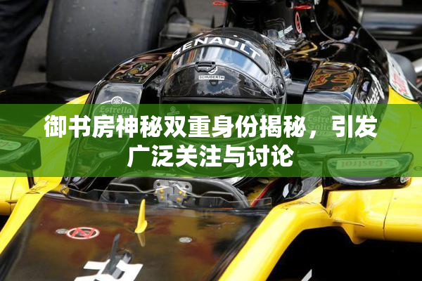 御书房神秘双重身份揭秘，引发广泛关注与讨论