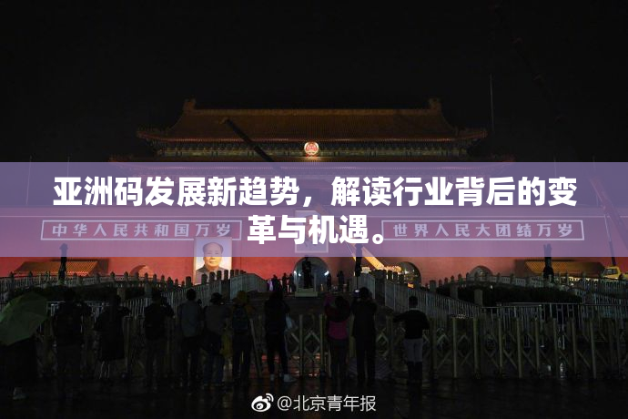 亚洲码发展新趋势，解读行业背后的变革与机遇。