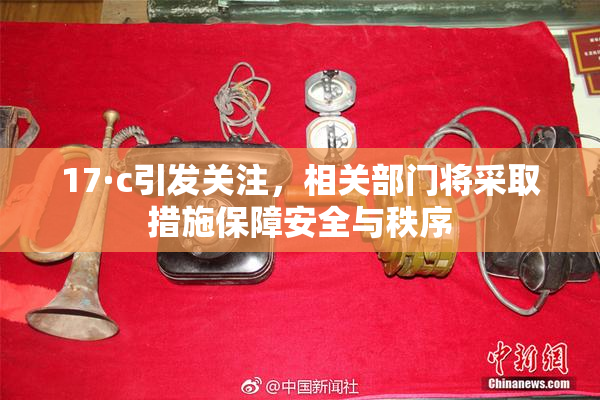 17·c引发关注，相关部门将采取措施保障安全与秩序