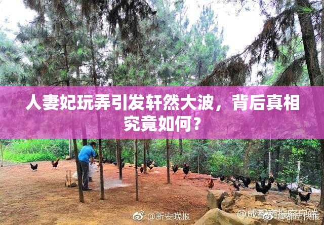 人妻妃玩弄引发轩然大波，背后真相究竟如何？