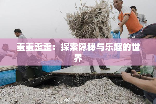 羞羞歪歪：探索隐秘与乐趣的世界