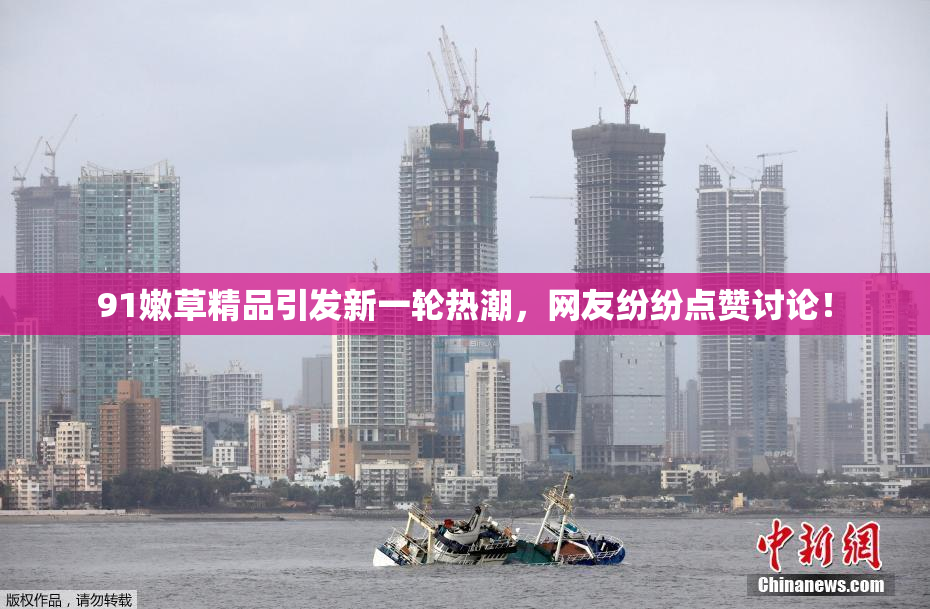 91嫩草精品引发新一轮热潮，网友纷纷点赞讨论！