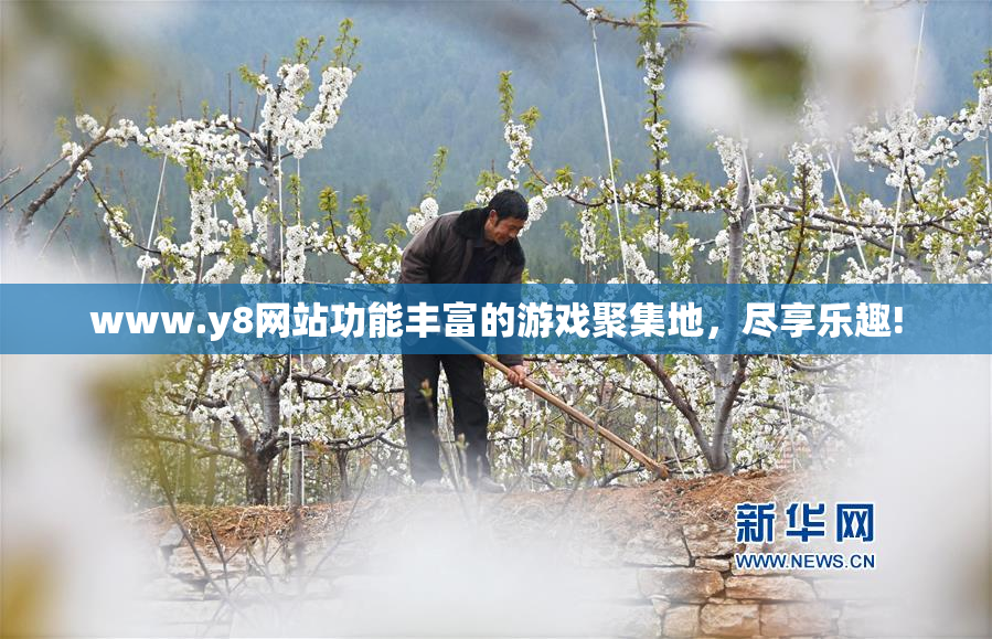 www.y8网站功能丰富的游戏聚集地，尽享乐趣!