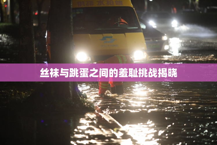 丝袜与跳蛋之间的羞耻挑战揭晓