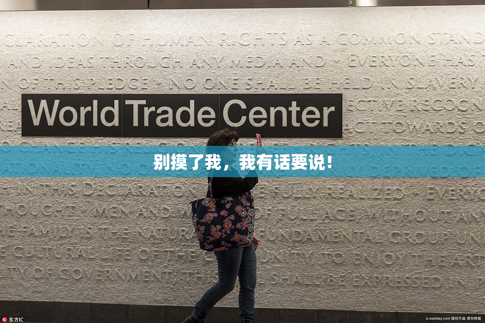 别摸了我，我有话要说！